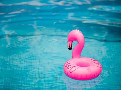 水上粉红色充气火烈鸟